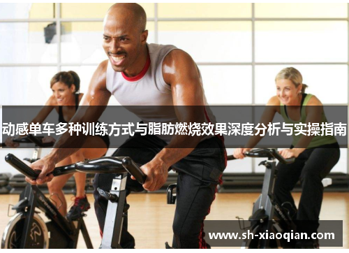 动感单车多种训练方式与脂肪燃烧效果深度分析与实操指南