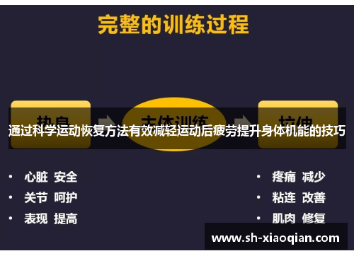 通过科学运动恢复方法有效减轻运动后疲劳提升身体机能的技巧
