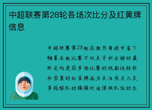 中超联赛第28轮各场次比分及红黄牌信息
